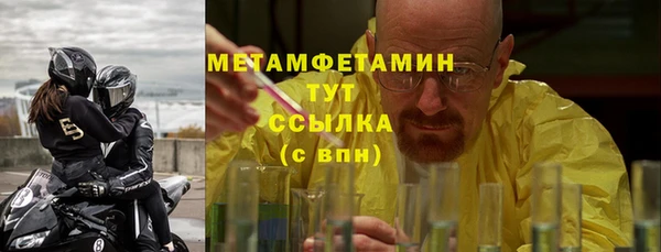 шишки Надым