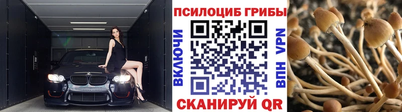 Галлюциногенные грибы прущие грибы  купить наркоту  Алупка 