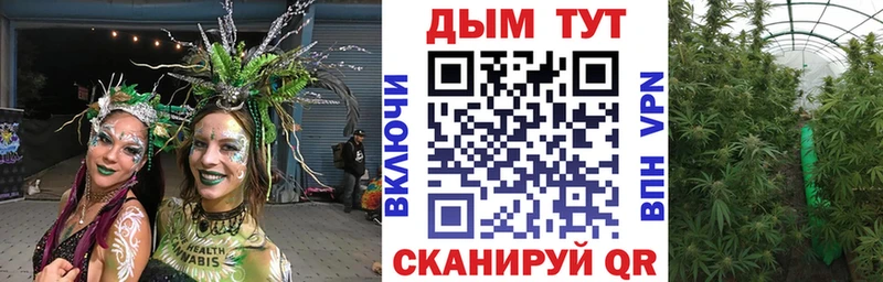 ссылка на мегу рабочий сайт  Алупка  Каннабис планчик  дарнет шоп 